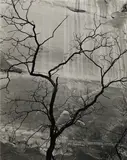Brett Weston, Glen Canyon