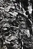 Brett Weston, Selected Abstract Images, 1970s
