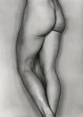 Nude (Bertha, Glendale) by Edward Weston, 1927, Gelatin silver print, sold Jun 2013