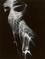 Brett Weston, Nude in Pool, Carmel Valley, California, 1978, Gelatin silver print