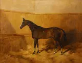 Henry Frederick Lucas Lucas, Simonian in his stable, oil on canvas