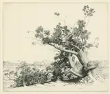 George Elbert Burr, Old Oaks; Old Cedars, New Mexico; Land of Mystery - The Desert (S. 150; 218; 324), c. 1920 (2); c. 1930, Etching and drypoints on wove paper, each signed in pencil, second numbered 10/40, first titled