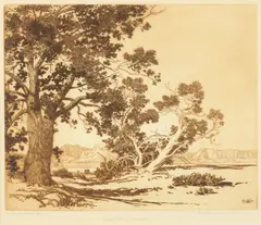 George Elbert Burr, Piñon Trees, New Mexico; Mesa Encantada, New Mexico (No. 1) (S. 217; 216), 1920; 1921, Etching and drypoints on wove paper, each signed in pencil and titled, Piñon Trees annotated 'Trial proof - first state /40'