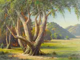 Stately Eucalyptus, Bonhams 2013
