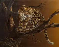 Leopard in a tree by Douglas Van Howd, oil on board, sold Jan 2013