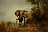 Douglas Van Howd, Elephants