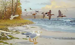 Lee Leblanc, Birds along a coast, oil on board