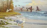 Lee Leblanc, Birds along a coast, oil on board