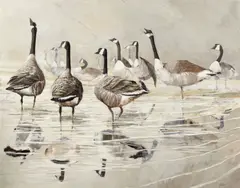 Ken Turner, Geese in shallow water, oil on board