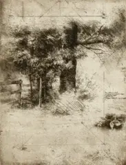 Trevor Southey, Thicket, n.d., Etching and drypoint on wove paper