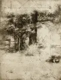 Trevor Southey, Thicket, n.d., Etching and drypoint on wove paper