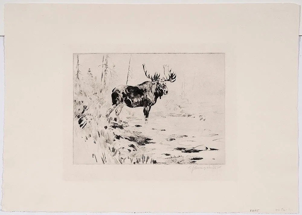 Moose by Carl Rungius, drypoint etching on paper, sold Nov 2015