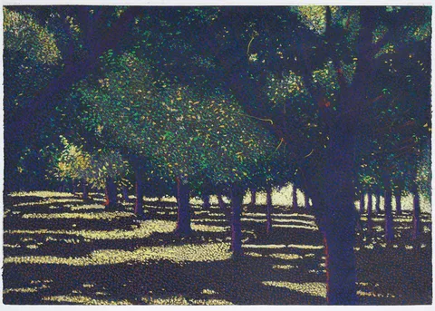 Joseph DiGiorgio, Southwest Series No. 16 - Pecan Grove, New Mexico, 1986, Holbein oil pastel on Arches paper