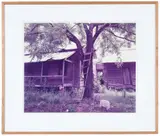 William Christenberry, Ladder and Old House, Near Moundville Alabama
