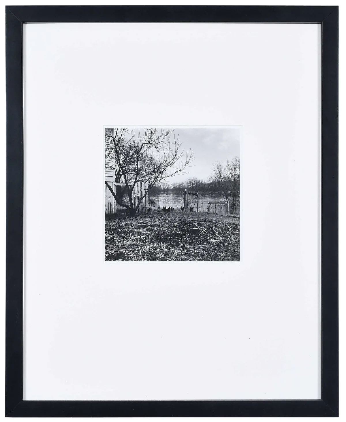 The Chicken Yard by Ralph Eugene Meatyard, gelatin silver print, sold Oct 2023