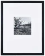 Ralph Eugene Meatyard, The Chicken Yard