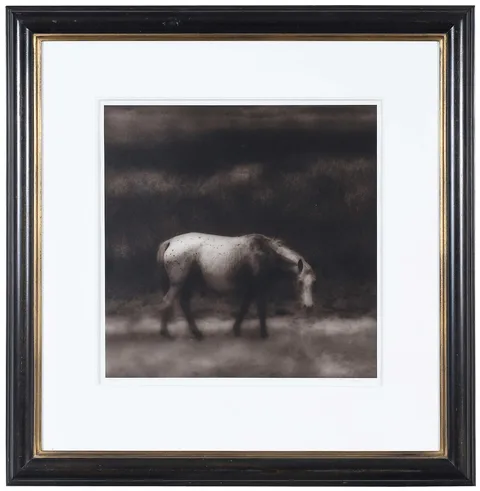 Jack Spencer, Wild Horse, Cumberland Island, Georgia, 1998, gelatin silver print (possibly painted)