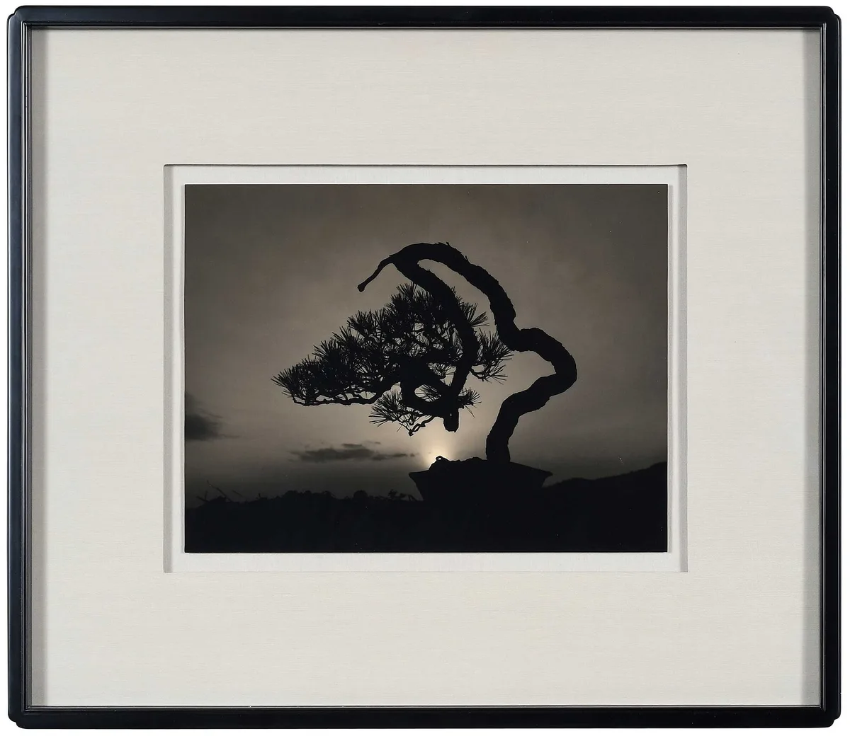 Bonsai by Masao Yamamoto, 2019, gelatin silver print, sold Oct 2023