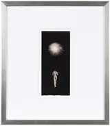 Masao Yamamoto, Nakazora #1021