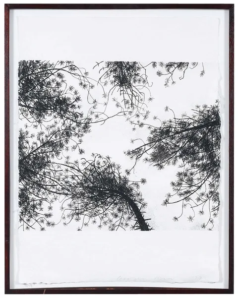 Georgia Marsh, Untitled (Cooper Lake Series), 1992, charcoal on paper with blindstamp