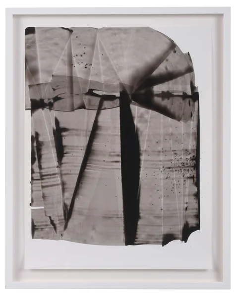 Daft/Draft by Sarah Irvin, 2013, ink on yupo (synthetic paper), sold Oct 2023