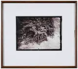 Eugène Atget, Chair I