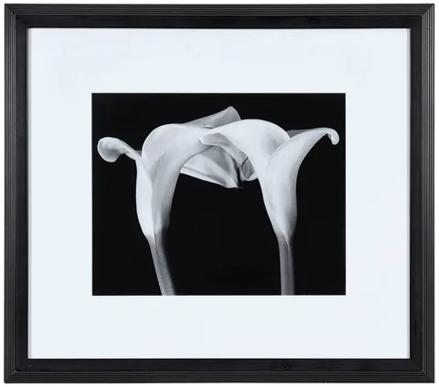 Two Callas Touching by Vincent Vallarino, 1991, gelatin silver print, sold Oct 2022