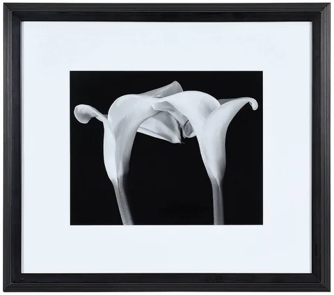 Two Callas Touching by Vincent Vallarino, 1991, gelatin silver print, offered Nov 2021
