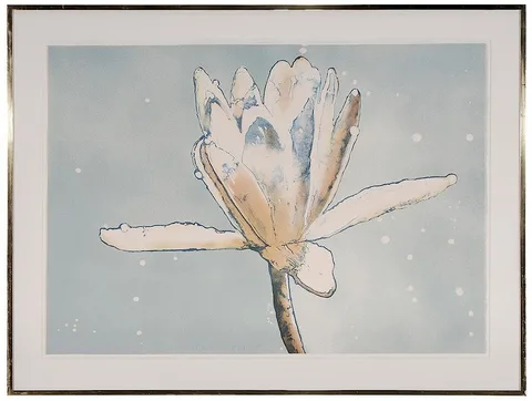 Joseph Raffael, Luminous Lily Dream, 1982, color lithograph on paper