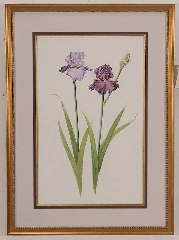 Two Purple Irises by Jean Binks Tolles, watercolor on paper, offered Jul 2015
