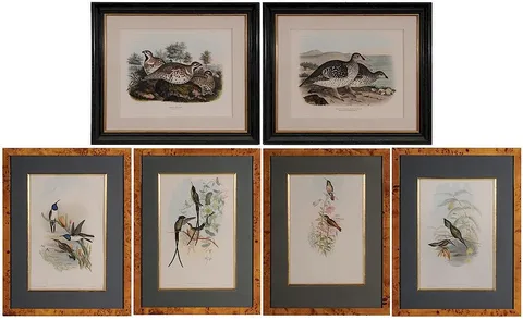 Daniel Giraud Elliot, Two ornithological prints: "Hazel Grouse" and "Arctic Sharp-tail Grouse", from Monograph of the Tertraoninae or Family of the Grouse, 1864-1865, hand-colored lithographs on paper