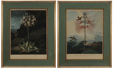 Dr. Robert John Thornton, Pair of botanical prints from [The Temple of Flora], hand-colored aquatint and engraving on wove paper