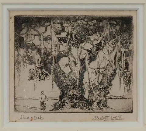 Elizabeth White, Live Oaks, drypoint etching with silver ink highlights on paper