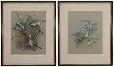 Basil Ede, Two early Spring bird scenes: British Great and Blue Titmouse on a pussywillow branch and  Black Capped Chickadees on forsythia, both signed "Basil Ede" with one dated "1965