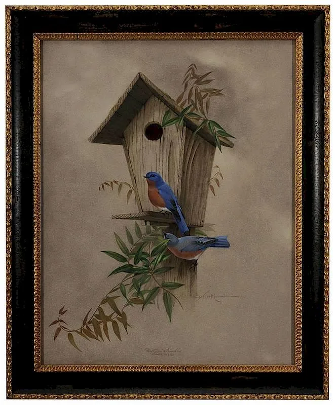 Athos Menaboni, Eastern Bluebird, mixed media on illustration board
