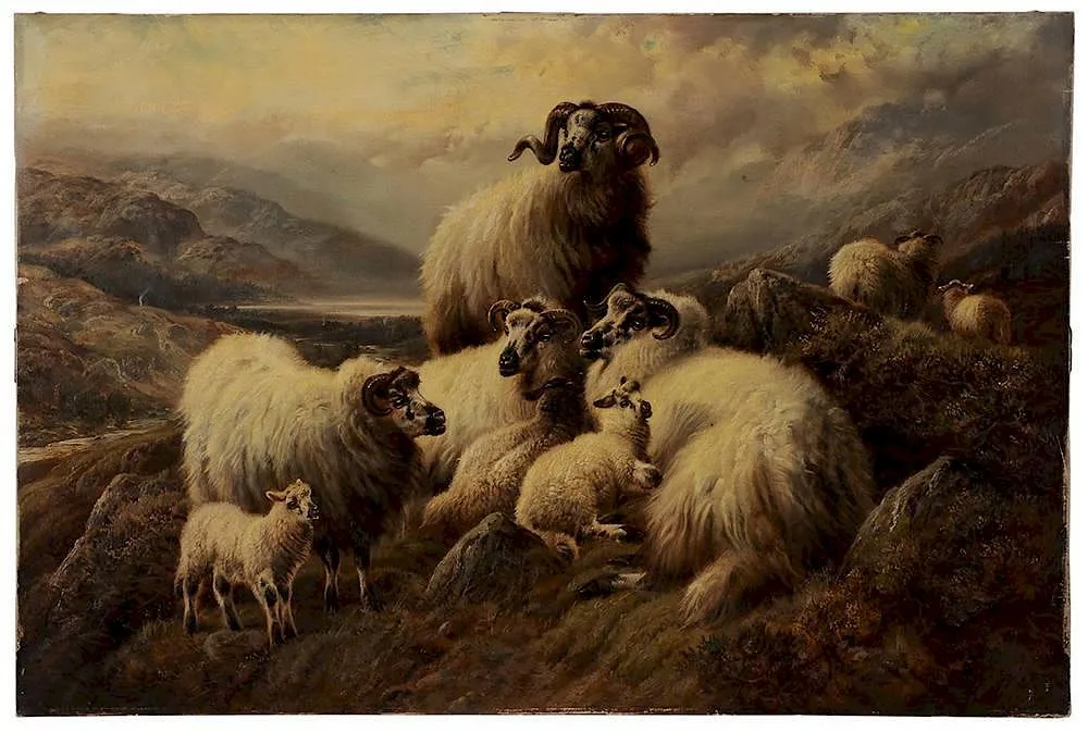 Highland Sheep Resting by Robert Watson, oil on canvas, offered May 2014