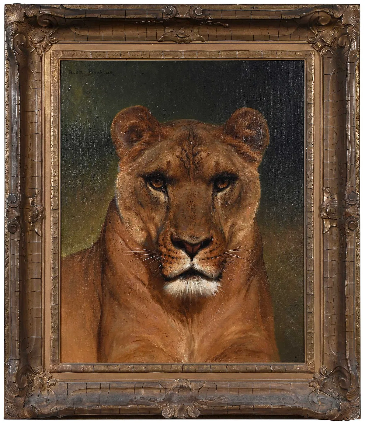 Rosa Bonheur, Tete de Lionne, oil on canvas
