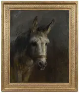 Rosa Bonheur, Tete et Avant-main D'un Mulet Gris