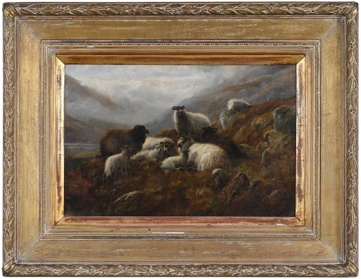 Robert F. Watson, Highland Sheep, oil on canvas