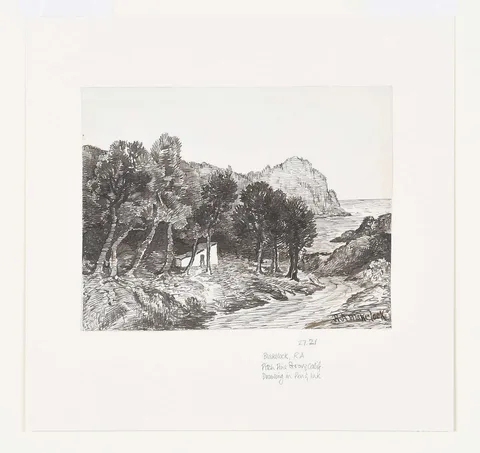 Ralph Albert Blakelock, Pitch Pine Grove, California, circa 1869-1871, pen and ink on paper