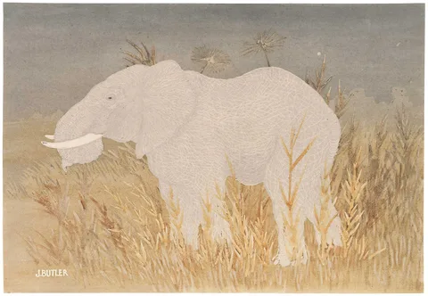 James Butler, Bull Elephant, circa 1930, watercolor on paper