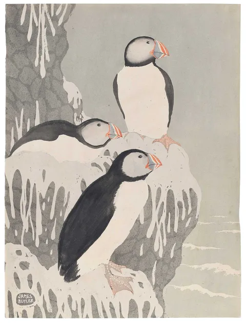 James Butler, Puffins, circa 1930, watercolor on paper