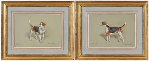 Frank Paton, A Pair of Portraits of Foxhounds, watercolor and gouache on light green to buff paper
