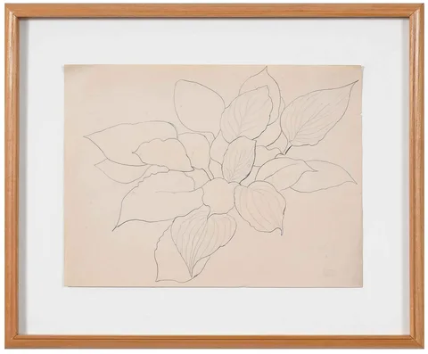 Joseph Stella, Drawing of leaves, Hosta plant, colletctor's stamp lower right, pencil on buff paper