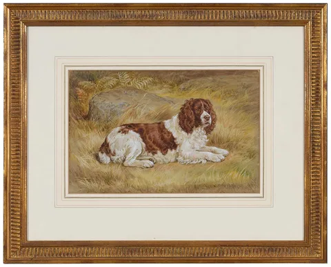 Frank Paton, Springer Spaniel Laying in Field, 1901, watercolor and gouache on paper