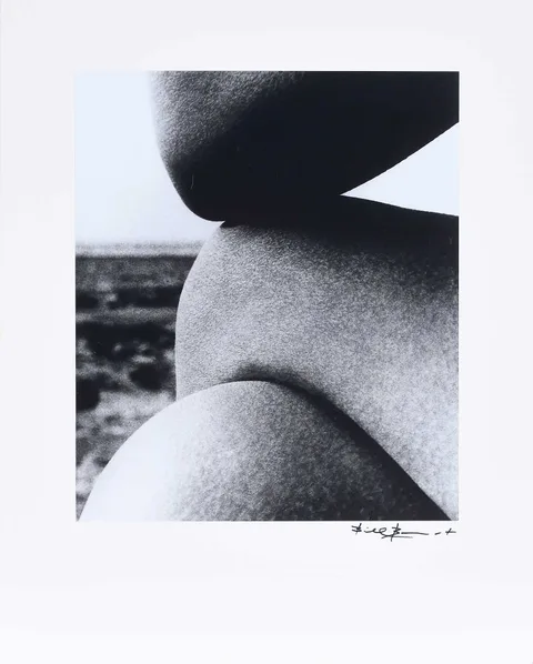 Elbow and Knee, East Sussex by Bill Brandt, 1959, gelatin silver print, sold Dec 2024