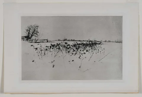 Peter Henry Emerson, The Snow Garden, from Marsh Leaves, 1895, photogravure on paper