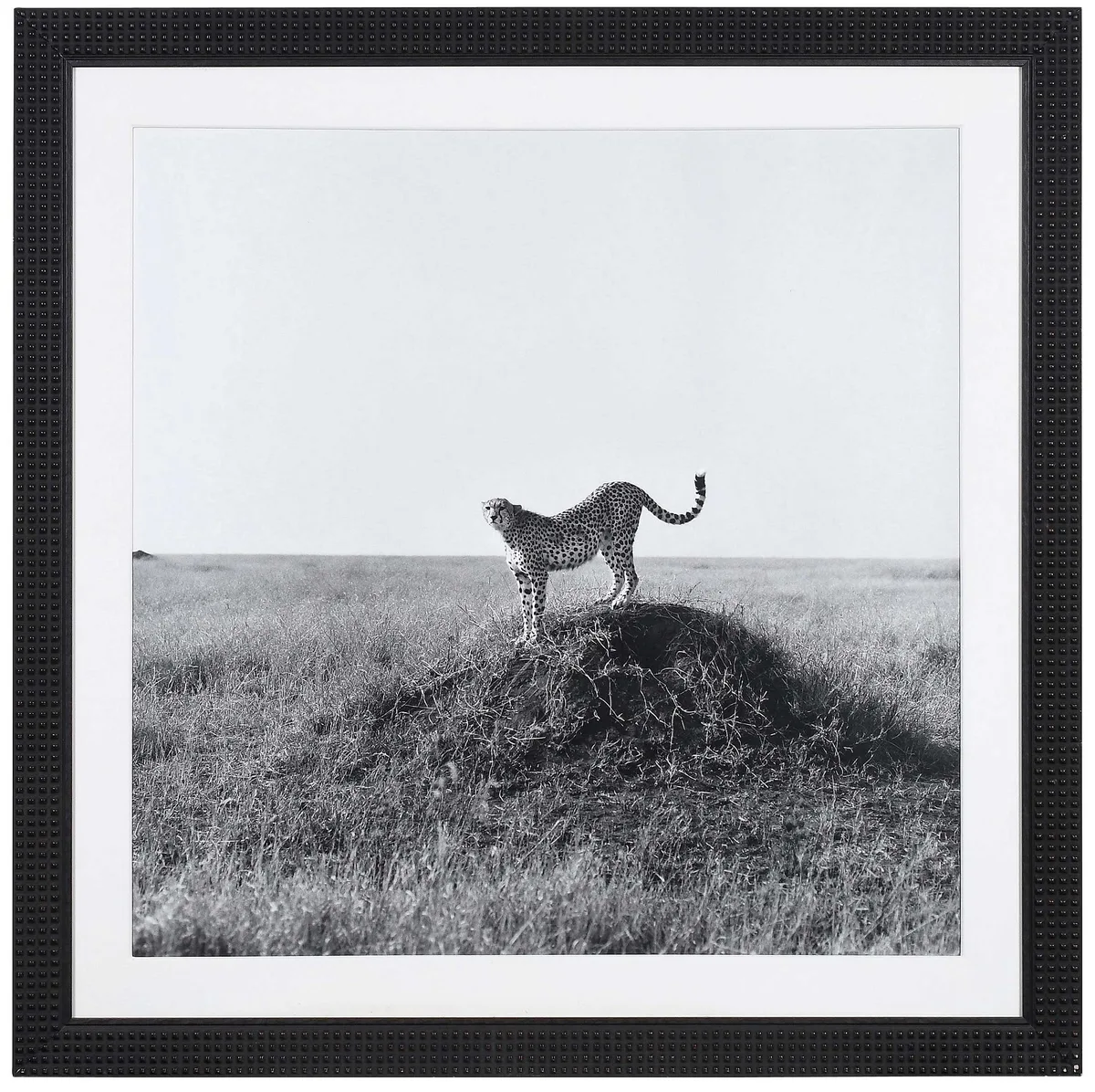 Cheetah by Patrick Demarchelier Photograph, 1993, gelatin silver print, sold Jul 2024