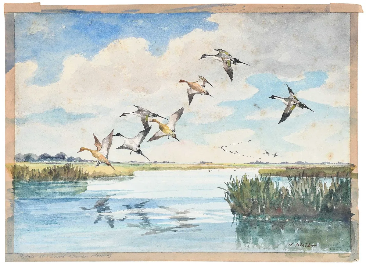 Pintails Coming In by Hans Kleiber, watercolor on paper, sold Feb 2024