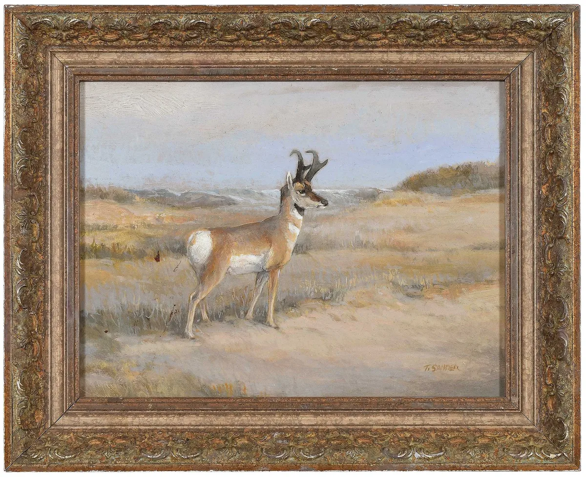 Pronghorn by Tom Sander, oil on Masonite, sold Feb 2024